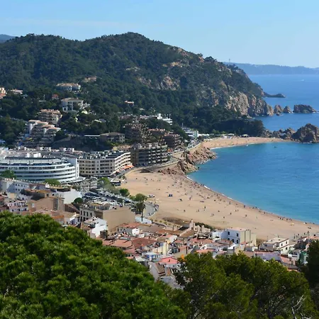 Miquel 2 - Con Parking, Wifi Y A/c Apartment